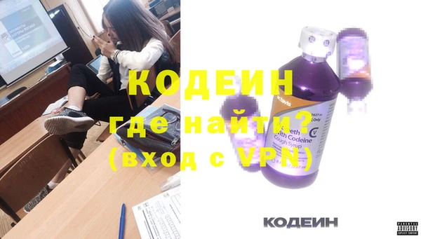 шишки Лагань