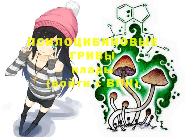 ECSTASY Куйбышев