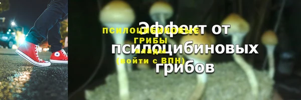 дживик Ладушкин