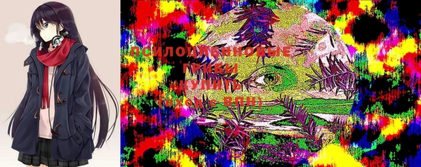 дживик Ладушкин