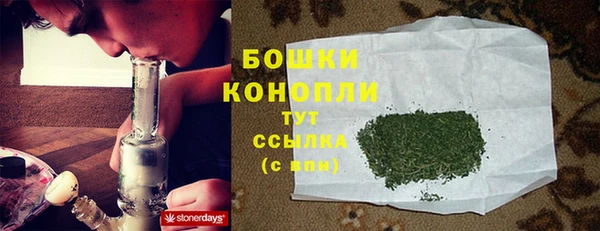 шишки Лагань